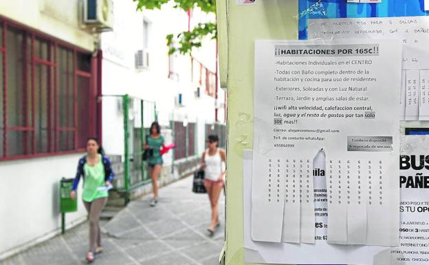 compartir piso estudiantes valencia pipsos de alquiler en valencia los estudiantes pierden compartir piso estudiantes valencia pipsos de alquiler en valencia los estudiantes pierden